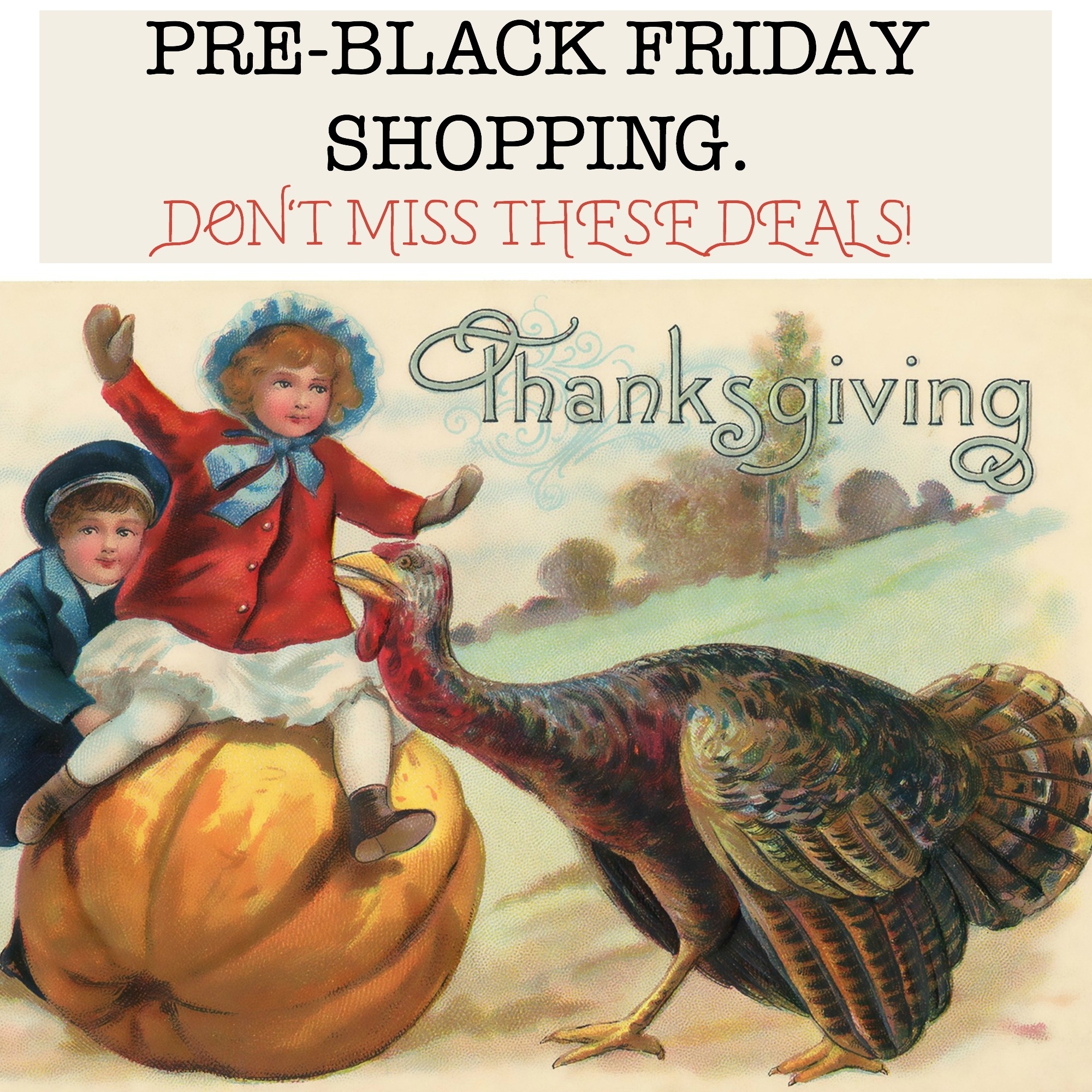 Pre-Black Friday shopping. Don't miss these deals!
