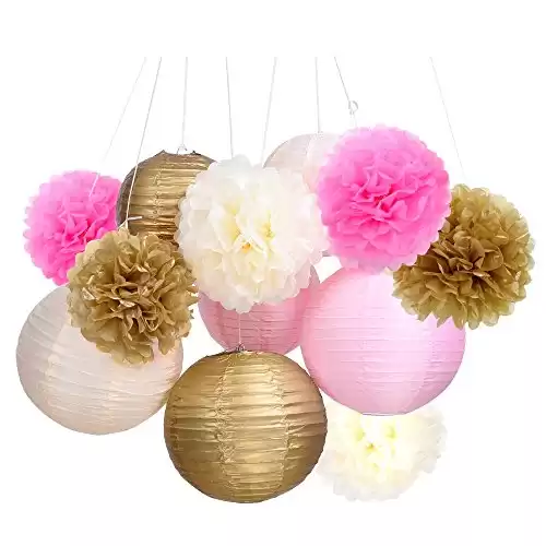 Tissue Paper Pom Pom Flowers and Paper Lanterns Party Decoration, 12 Pieces (Style A)